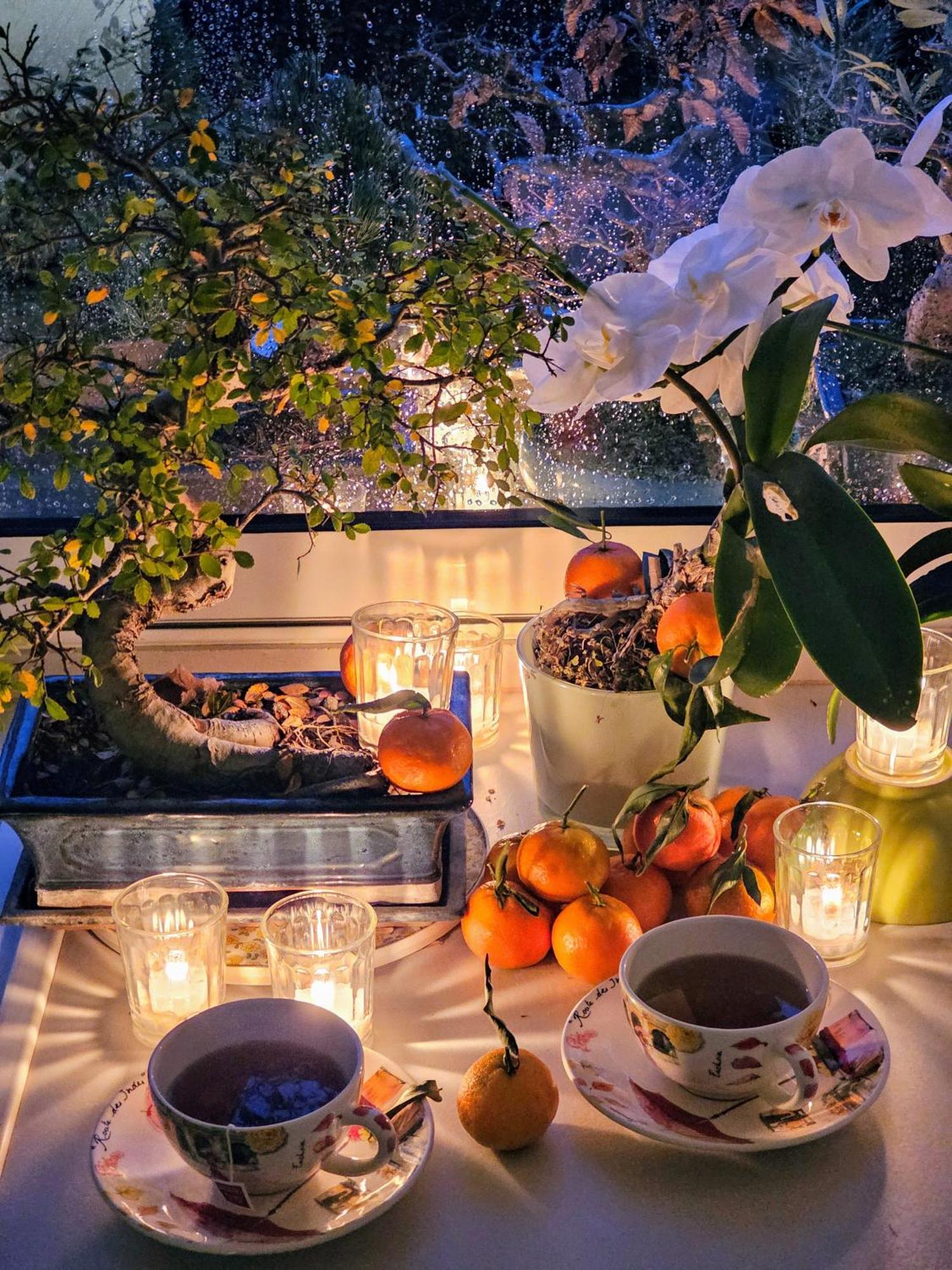 维也纳Terrasse De Malissol公寓 外观 照片